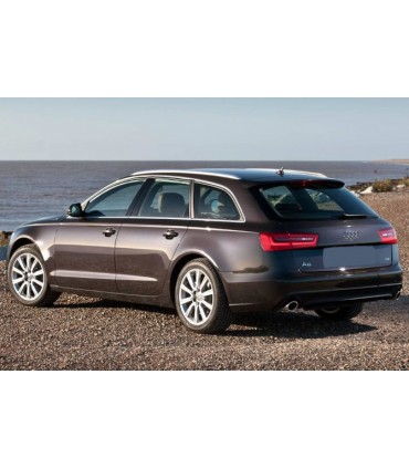 Dorso Audi A6 Avant
