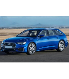 Coche Audi A6 Avant C8 Railing integrado 2018-