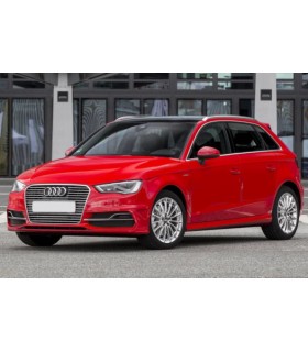 Portaequipajes Audi A3 8V Sportback