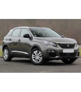 Peugeot 3008 5p Railing Integrado 2016